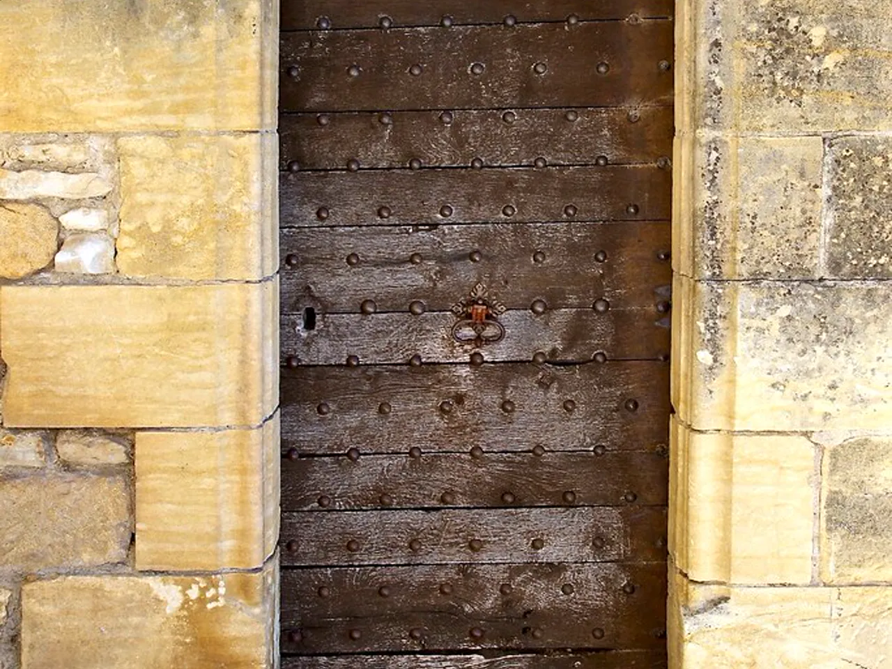 Cadenas modèle renforcé anti-coupe