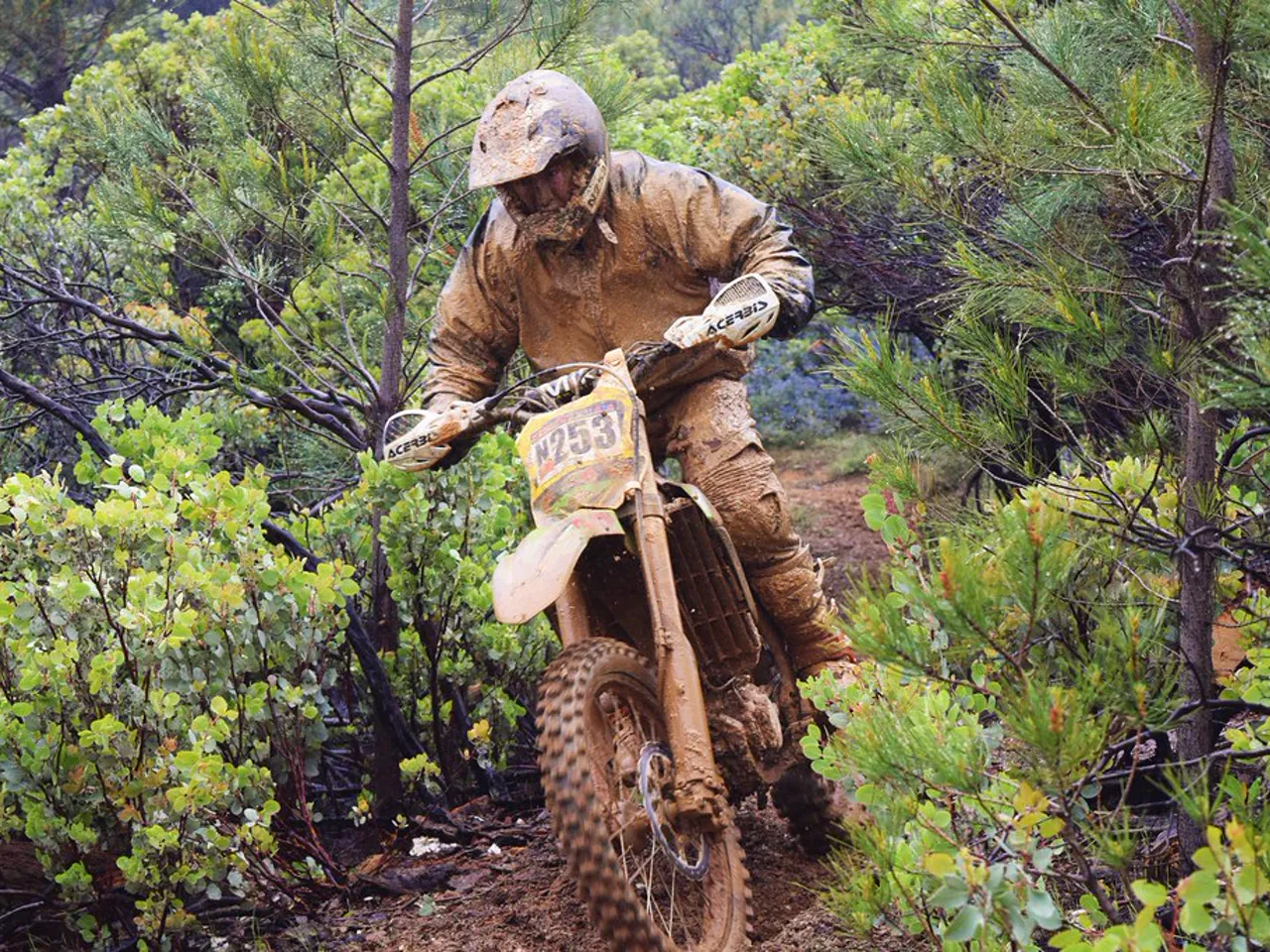 Amortisseurs arrière moto pour Suzuki GN125