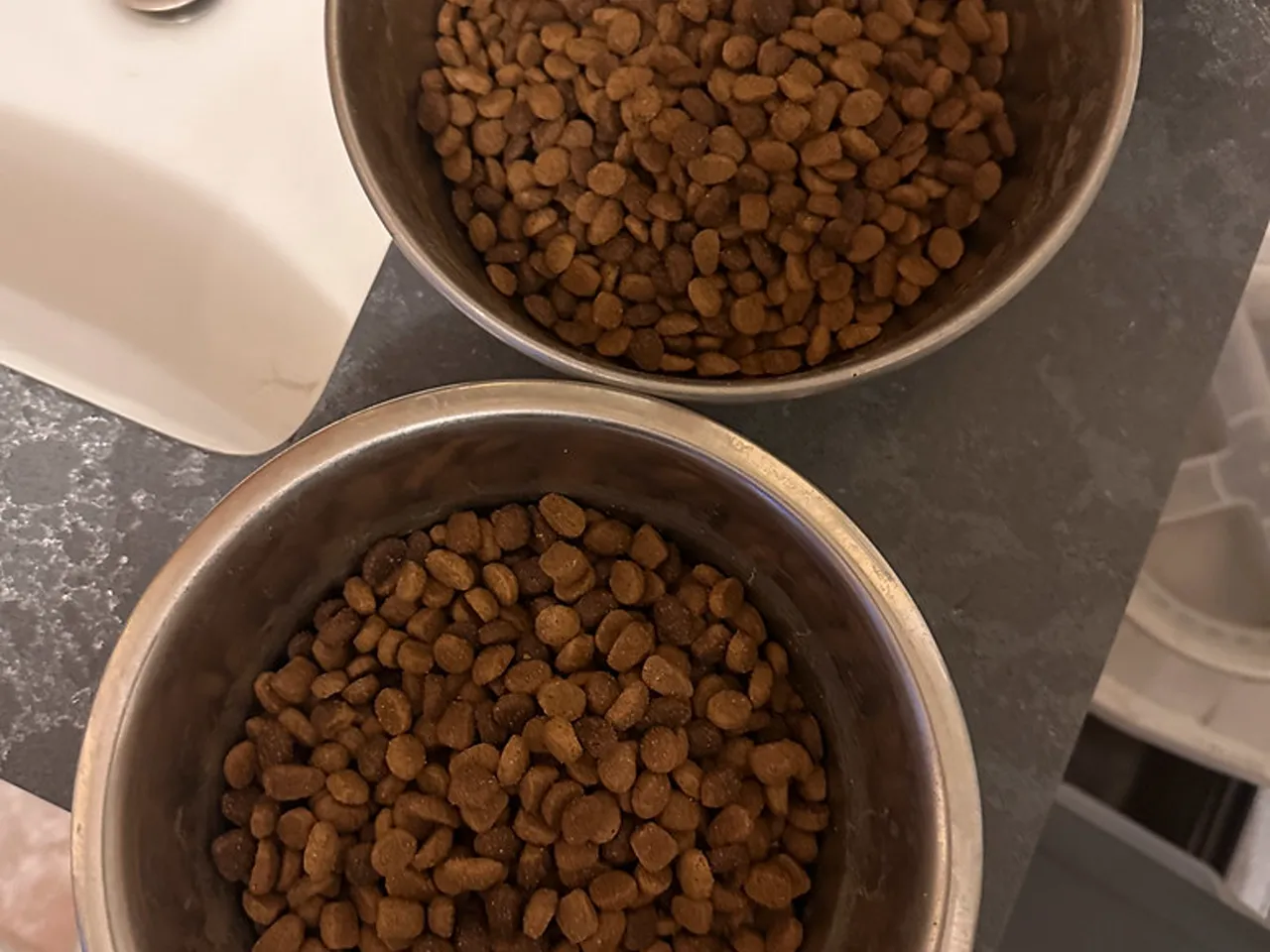 Croquettes pour chat, sac de 7 kg